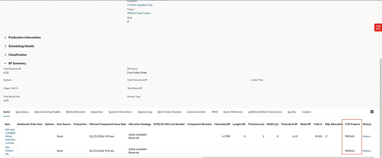 Auto project segmentation on Work Order items